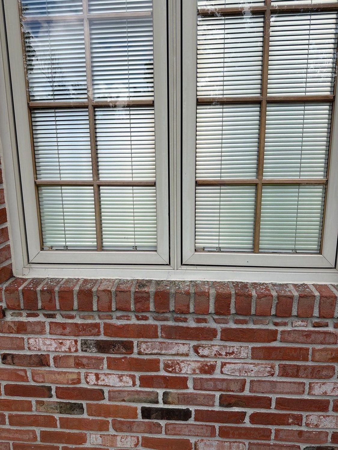 Cleaned window and brick elevation on a Fishers home