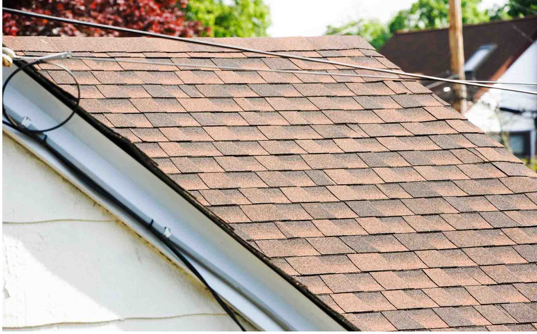 Close view of asphalt shingle and the gutter line after a roof rejuvenation treatment